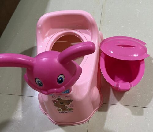 Potty Seat