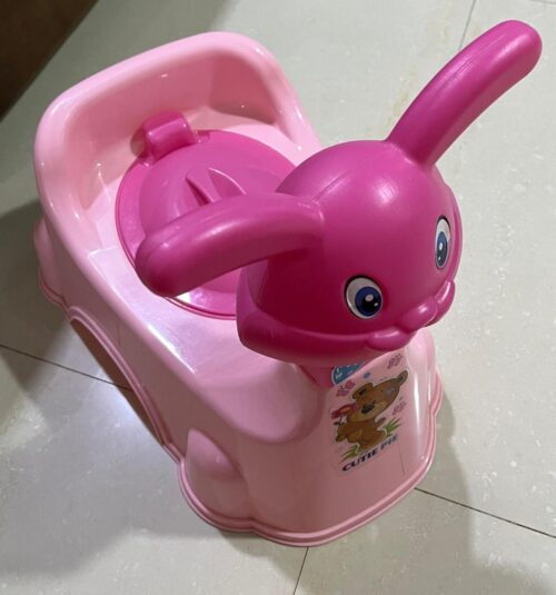 Potty Seat