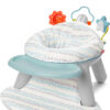 Skip Hop Activity Chair