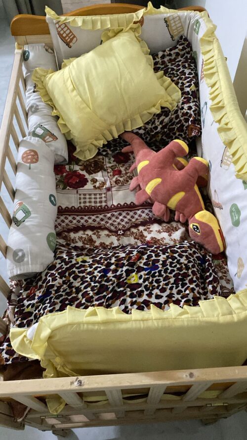 Mee Mee Wooden Baby Crib with Mattress & Pillows – Gently Used