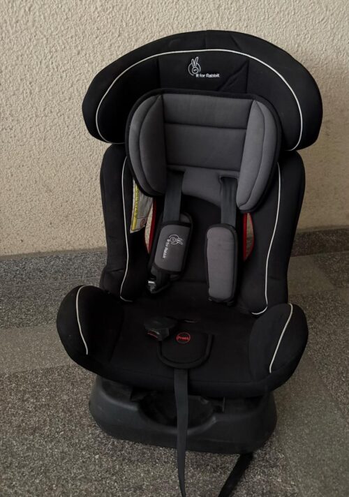R for Rabbit Convertible Car Seat – Safe Rides from Newborn to Toddler