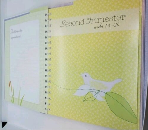 My Pregnancy Journal by Alison MacKonochie – A Keepsake for Every Step of the Journey