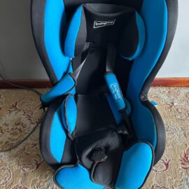BABYHUG Cruise Convertible Reclining Car Seat