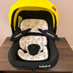 Babyhug Car Seat Cum Carry Cot with Mosquito Net (0–15 Months)