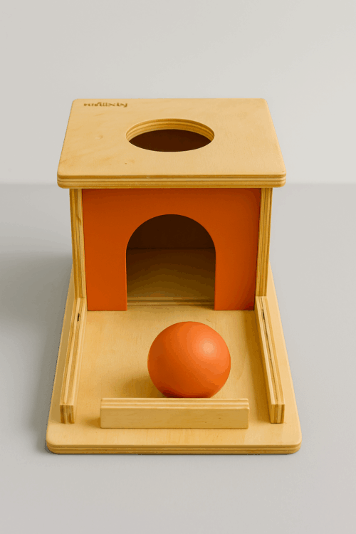 FirstCry IntelliBaby Montessori Object Permanence Box