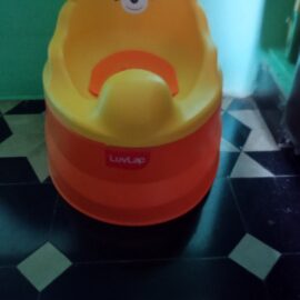 Luvlap potty training seat