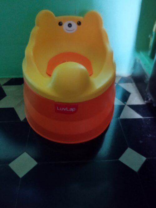 Luvlap potty training seat